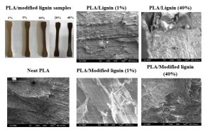  Lignin Nanofibers: Revolutionizing Sustainable Packaging and High-Performance Composites!